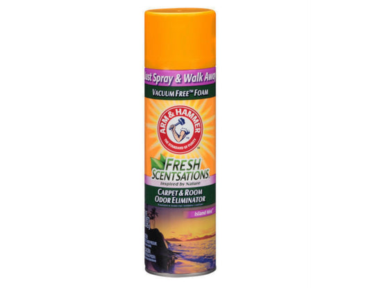 ARM & HAMMER CARPET & ROOM ODOR ELIMINATOR  150 OZ NOVAC FOAM